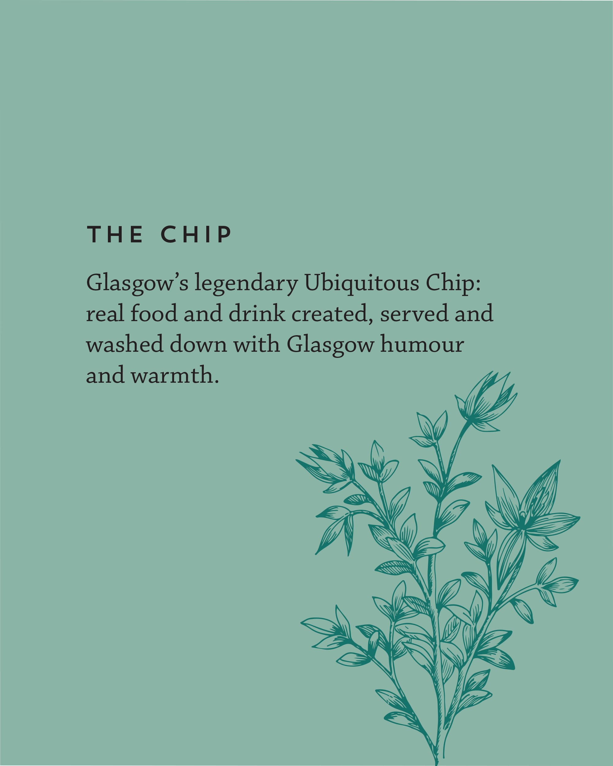 The Chip & Stravaigin blog image